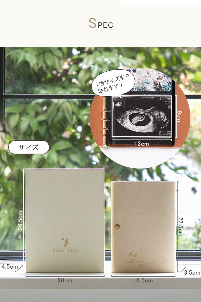 エコー写真アルバム